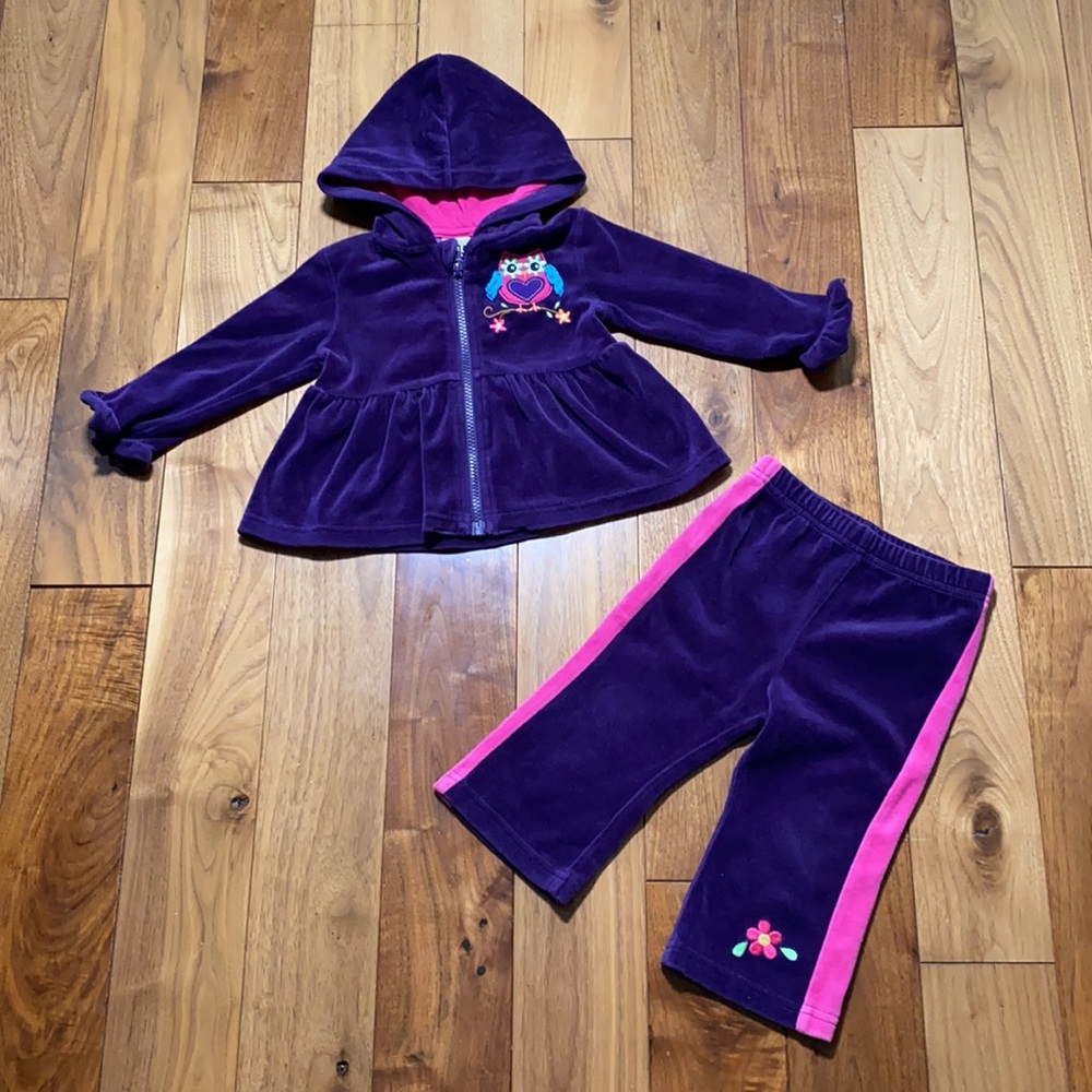 Velour Set Purple embroidered owl Zip Up Hooded Jacket and Pants size 18M